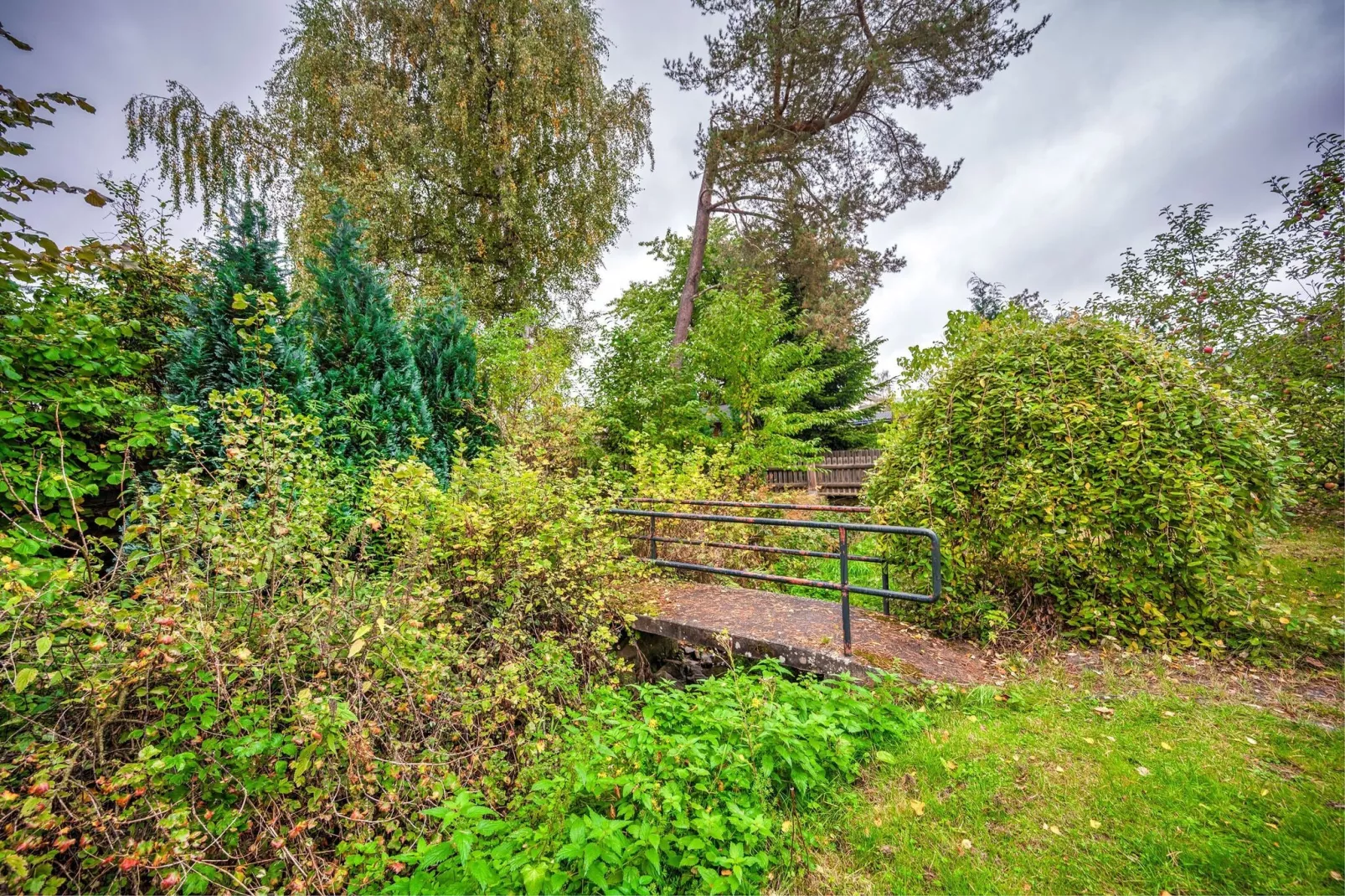 Medebach-Garten Sommer