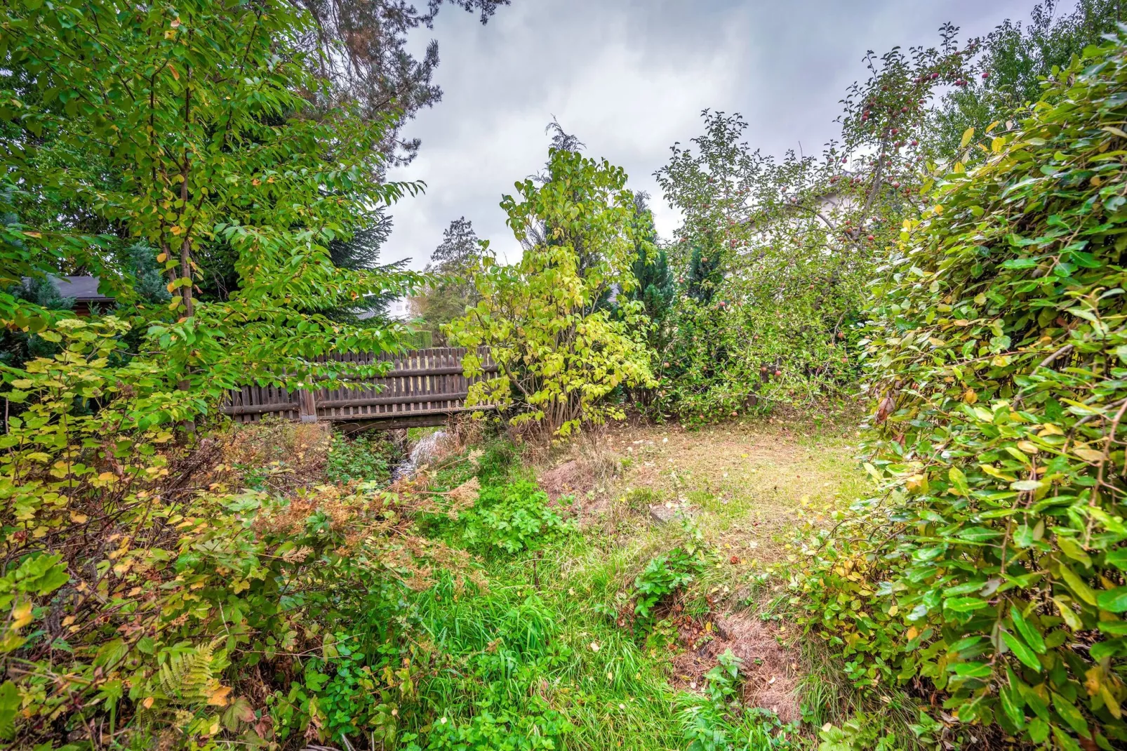 Medebach-Garten Sommer