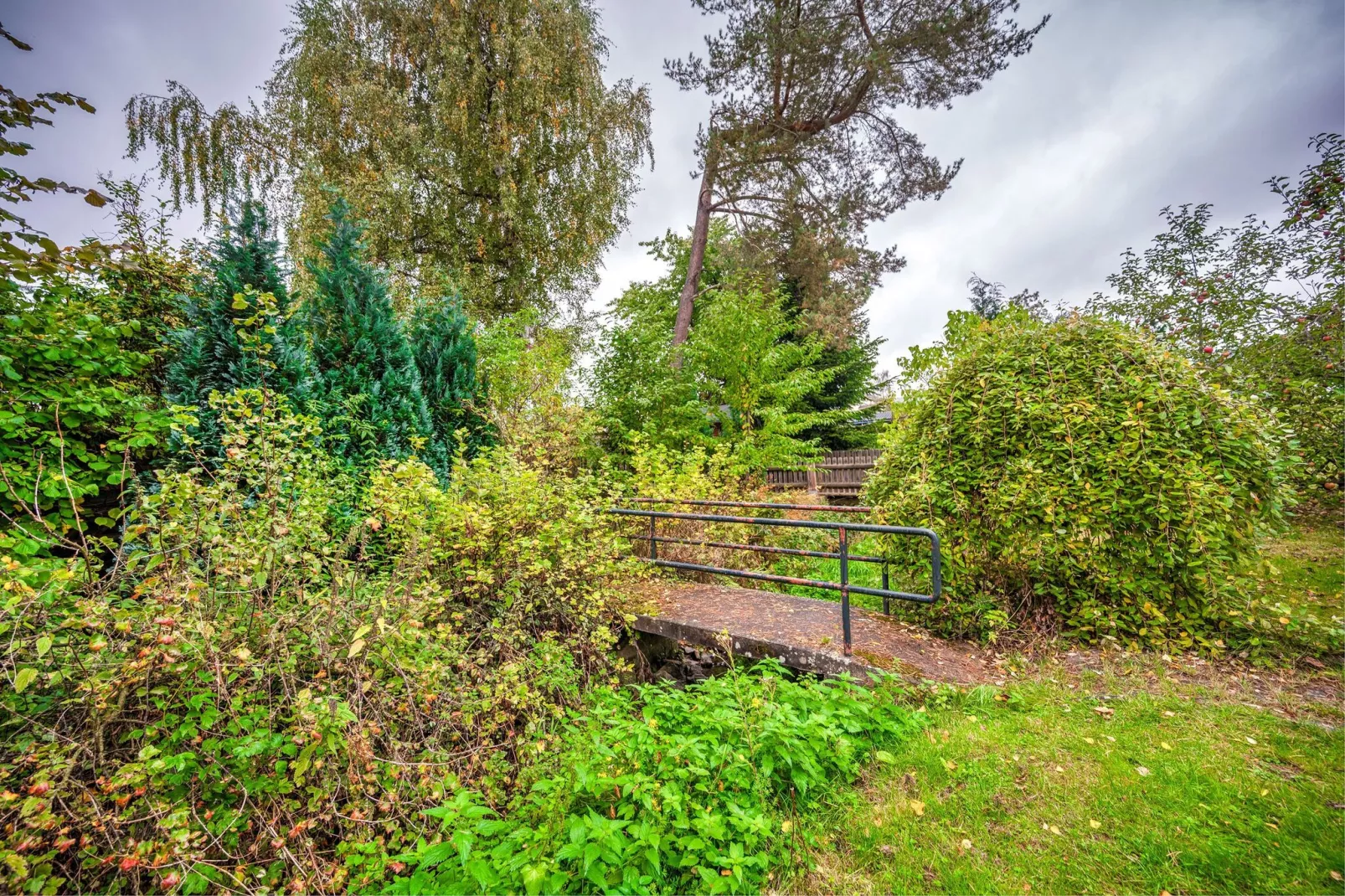 Medebach-Garten Sommer