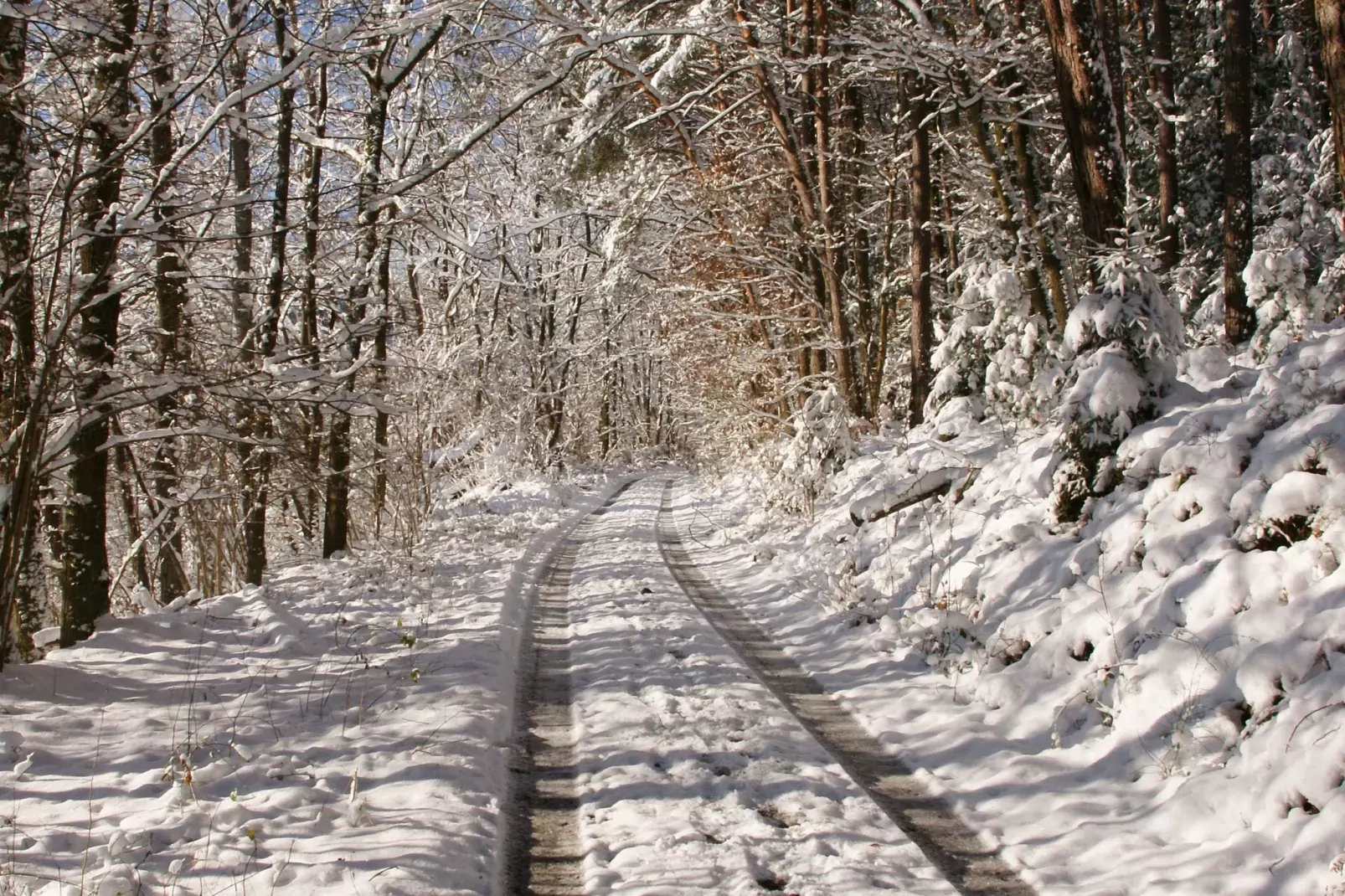 Mossautal-Area within 20km in winter