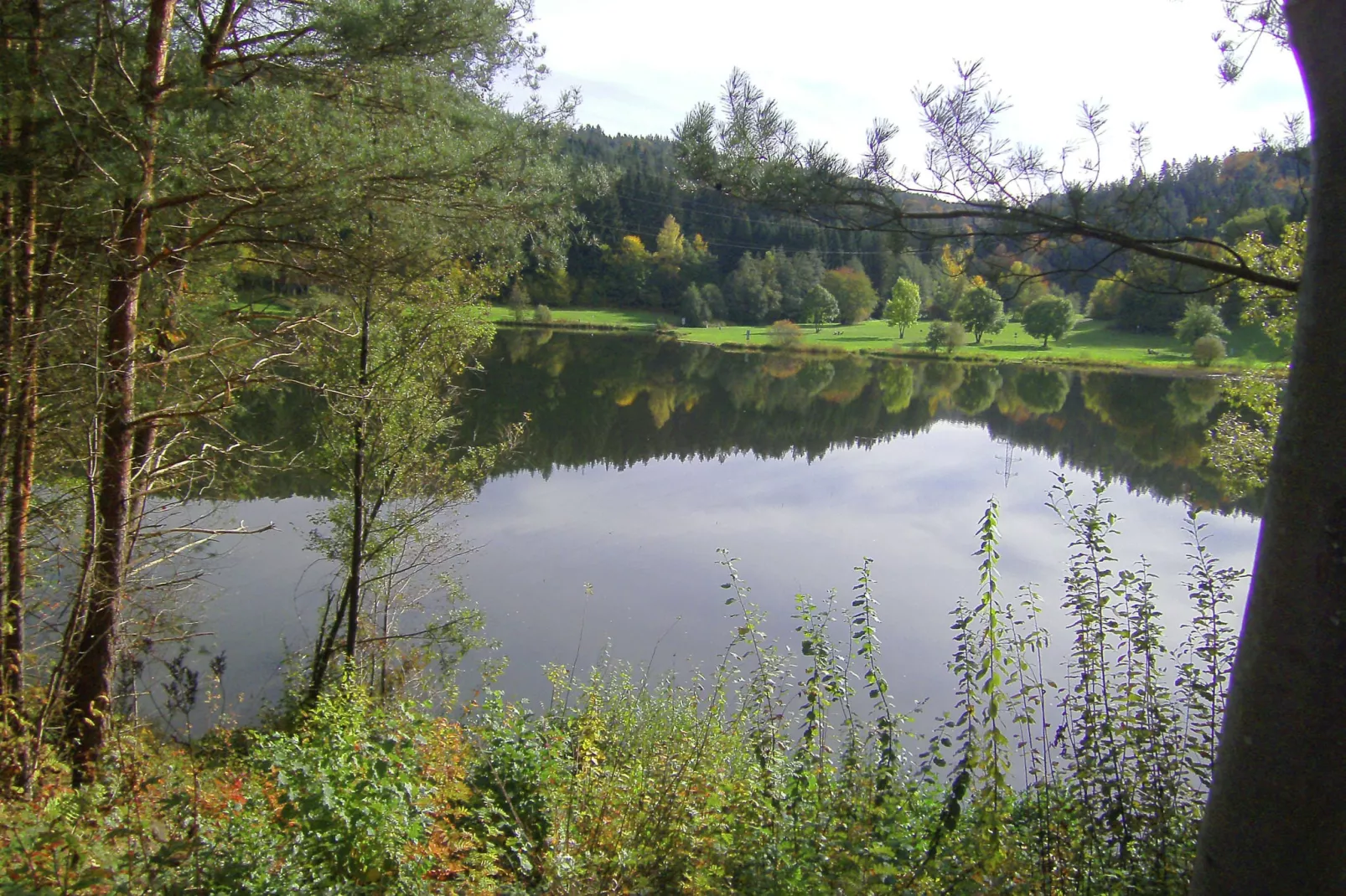 Katzer-Gebiete Sommer 5 km