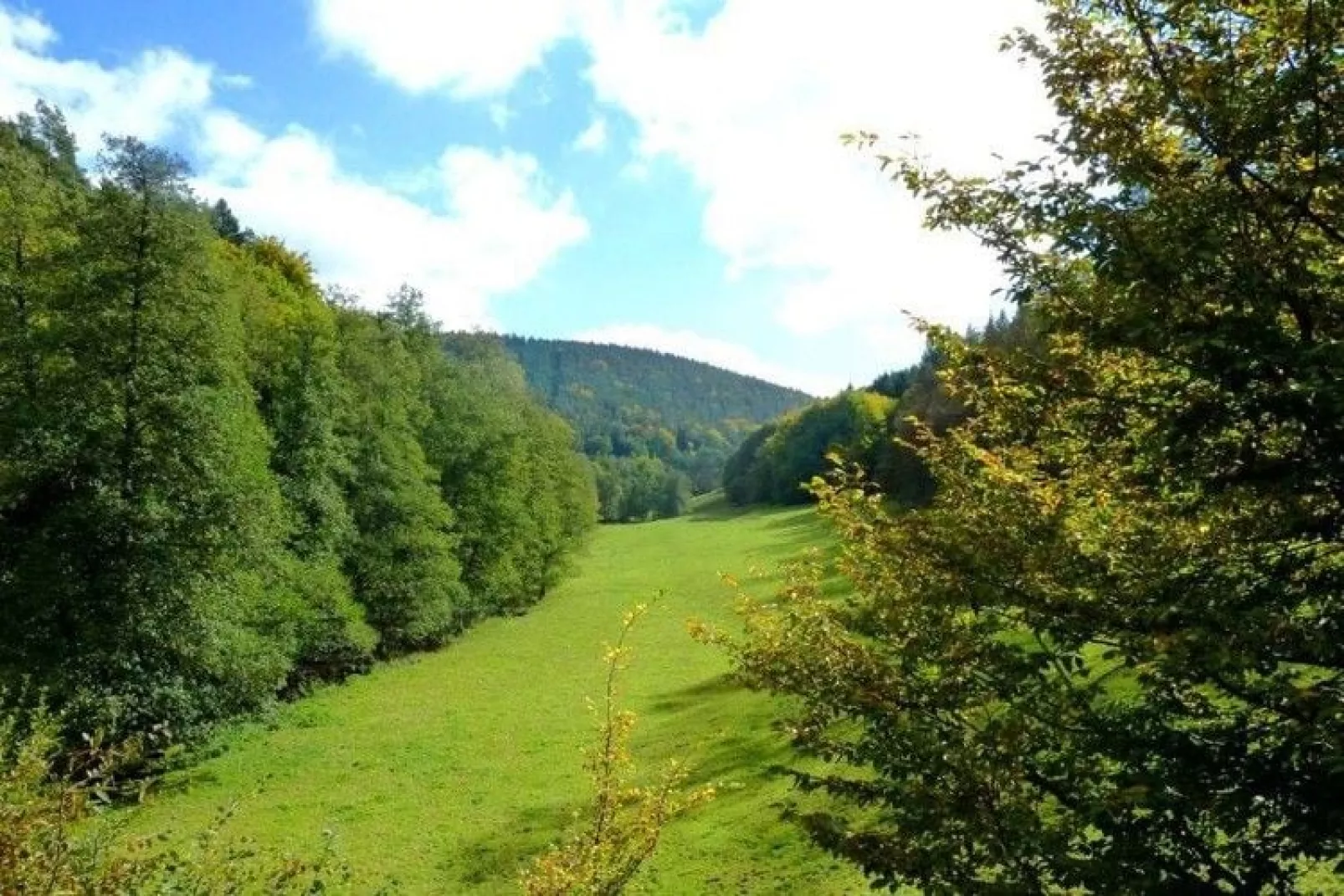 Katzer-Gebiete Sommer 20 km