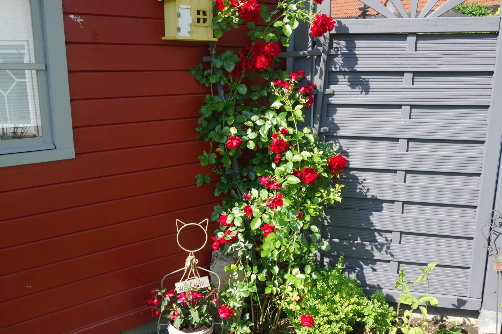 Runkel-Ennerich-Gardens summer