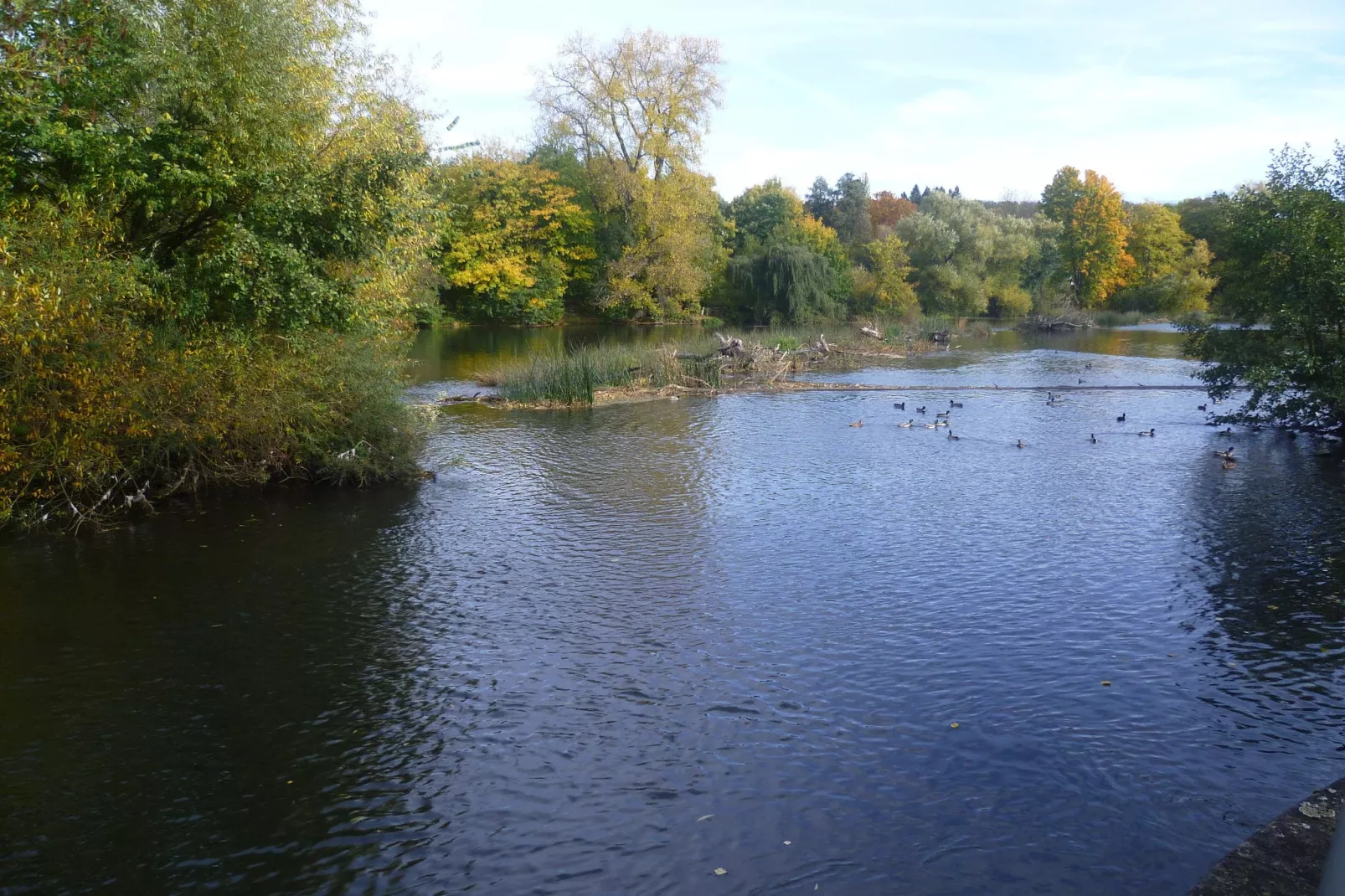 Runkel-Ennerich-Areas summer 20km