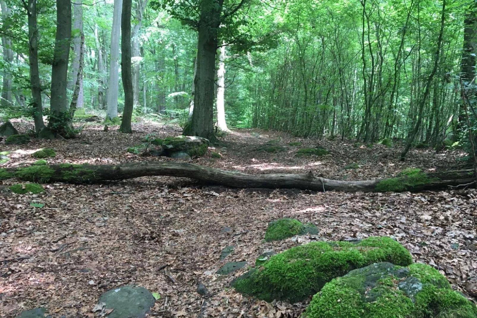 Wanderfreund-Areas summer 1km