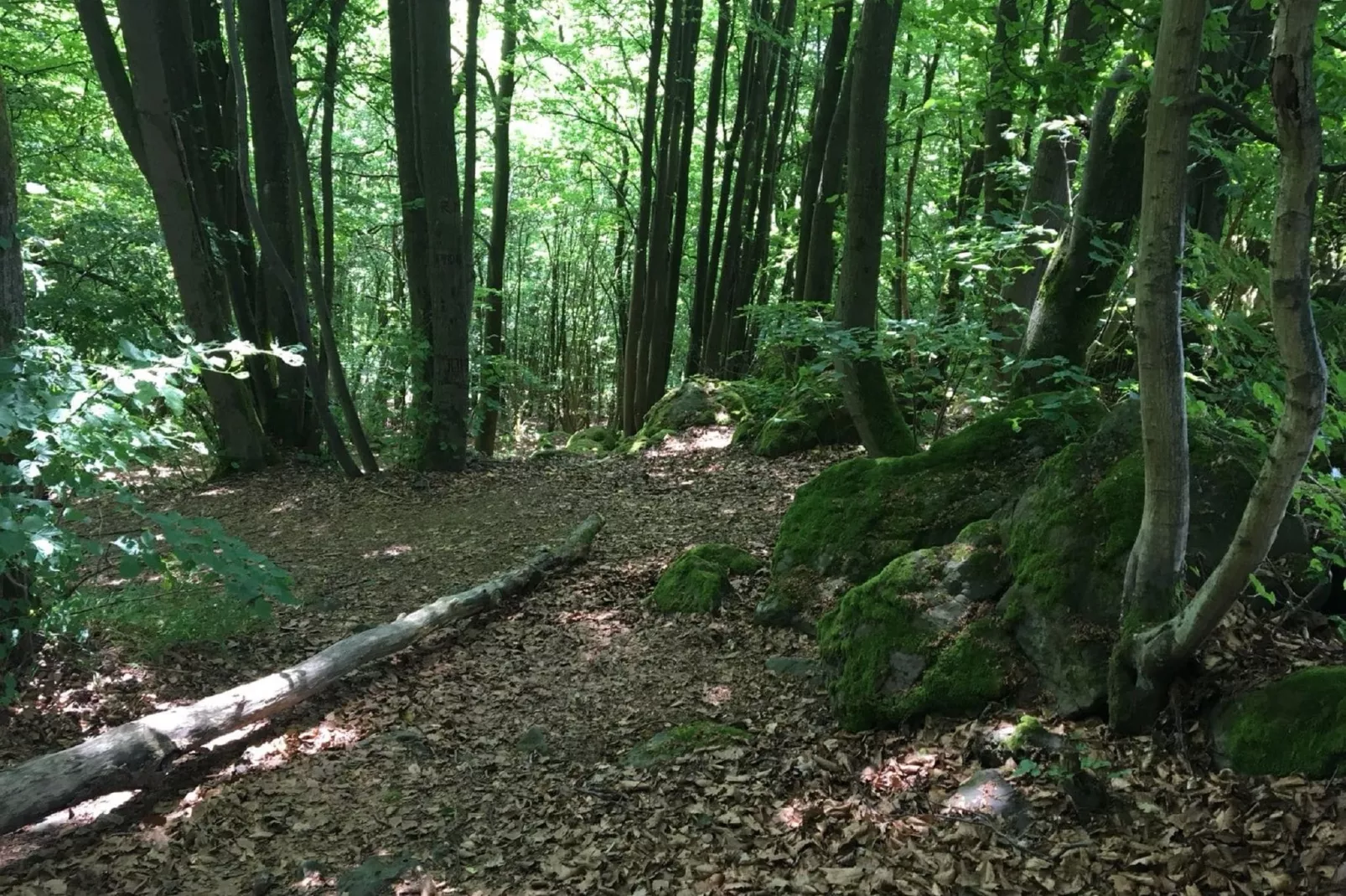 Wanderfreund-Areas summer 5km