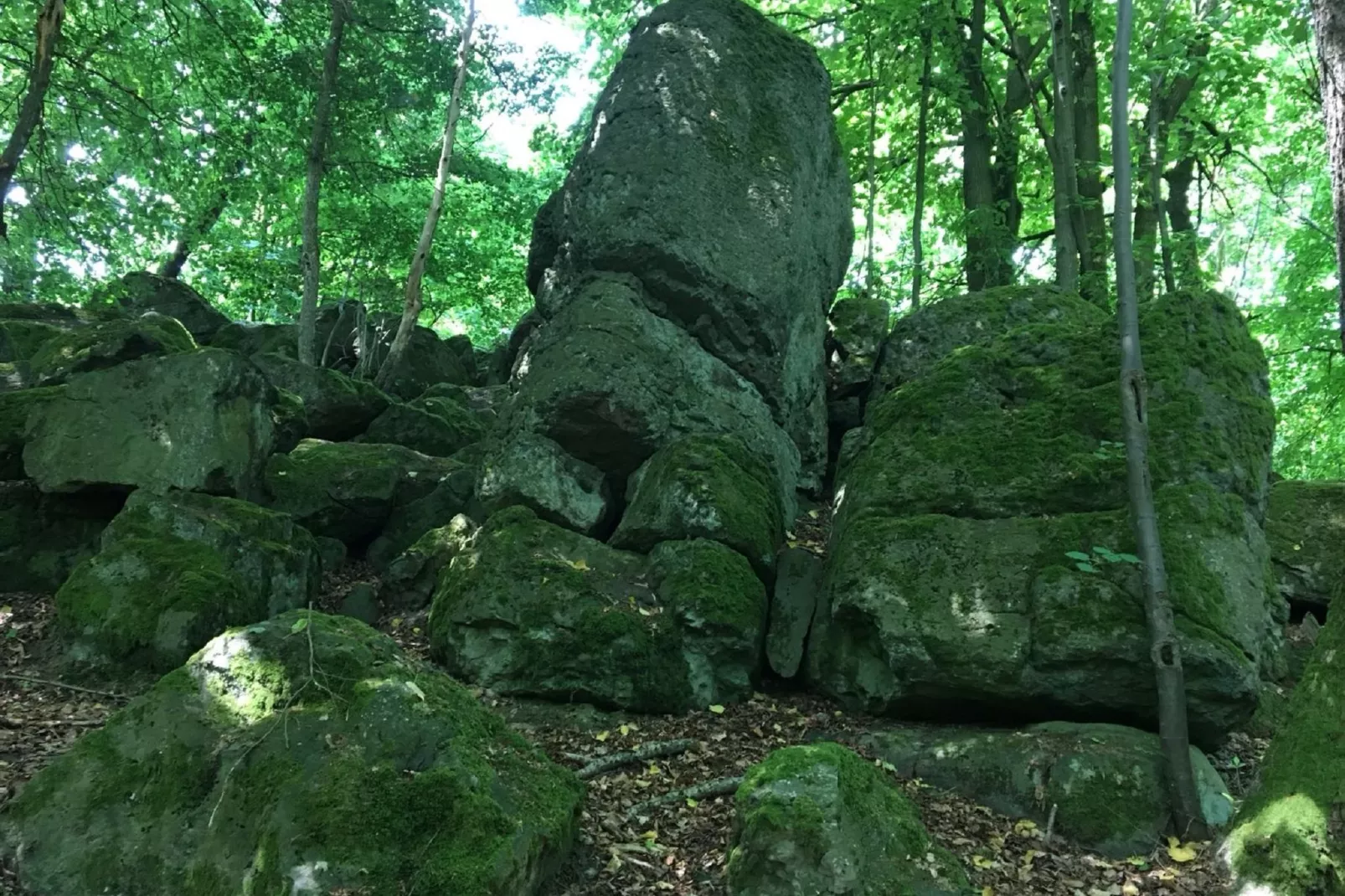 Wanderfreund-Areas summer 5km