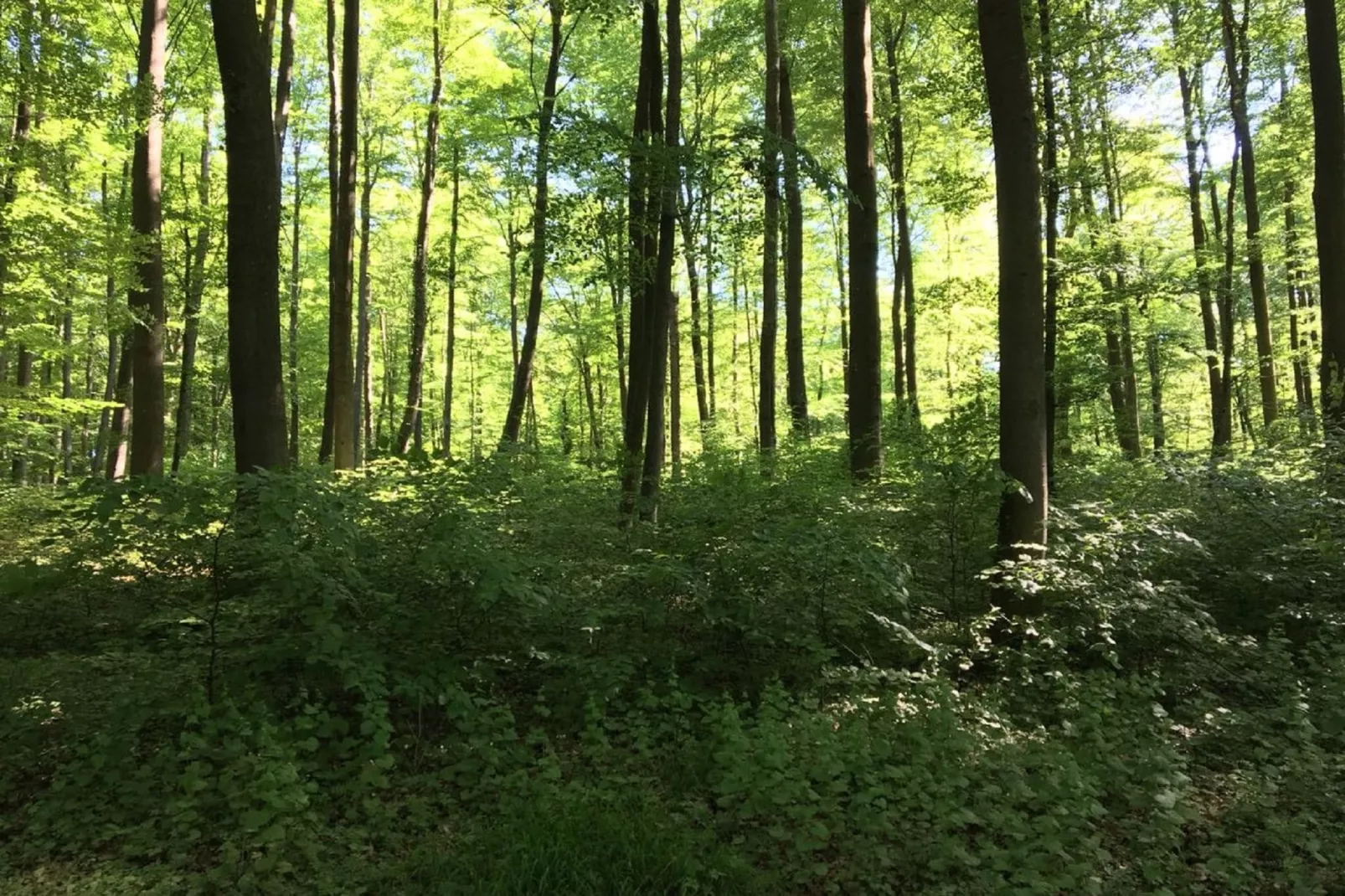Wanderfreund-Areas summer 5km