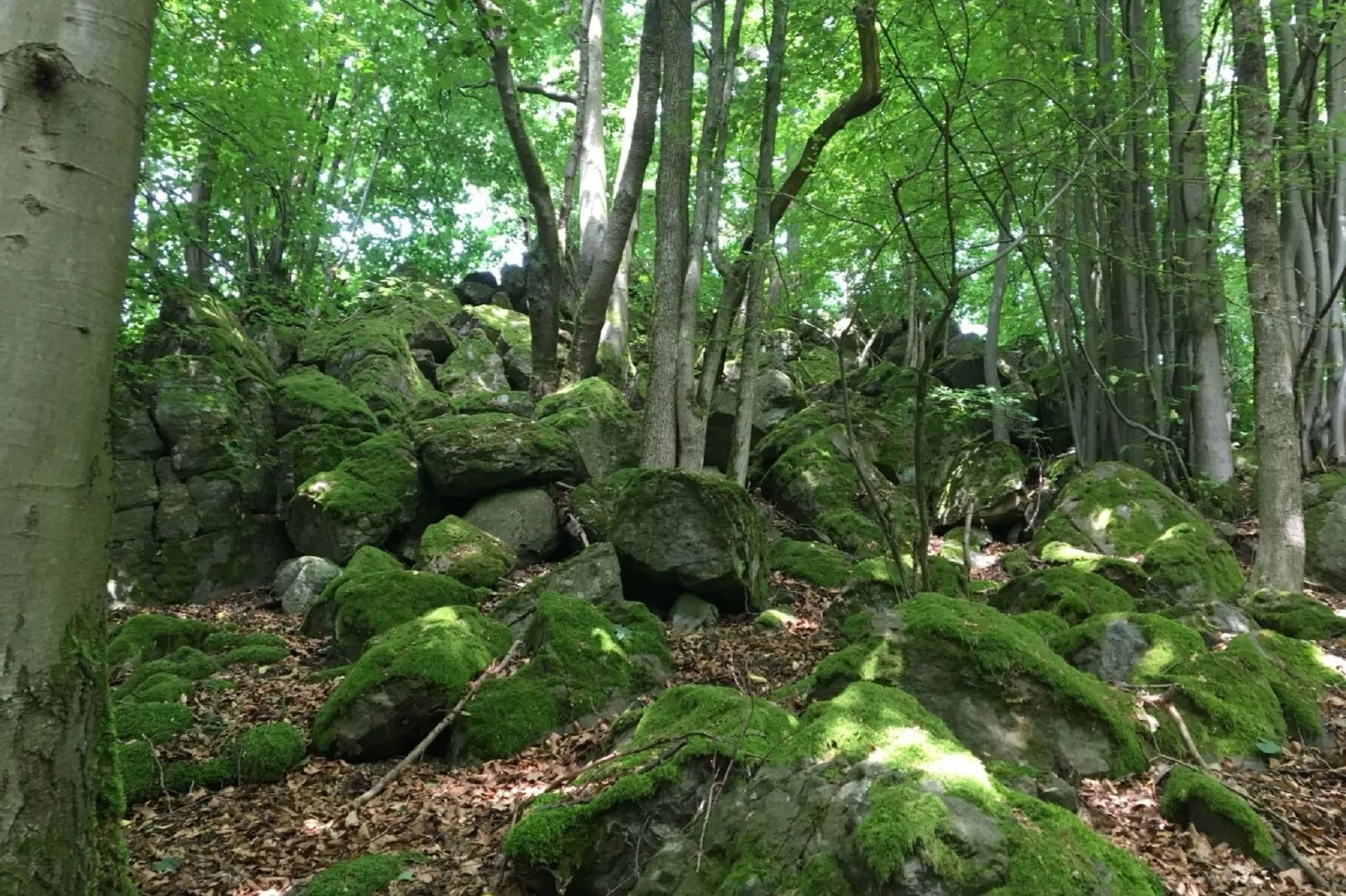 Wanderfreund-Areas summer 5km