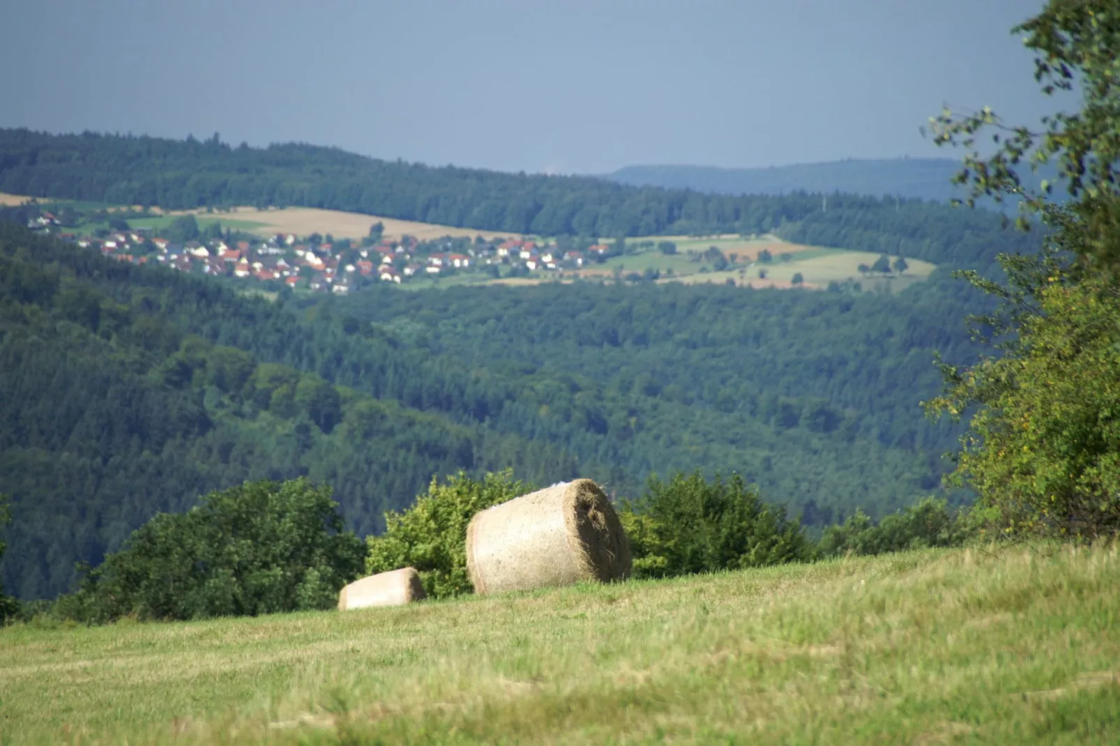 Feriendorf Waldbrunn 1-Areas summer 5km