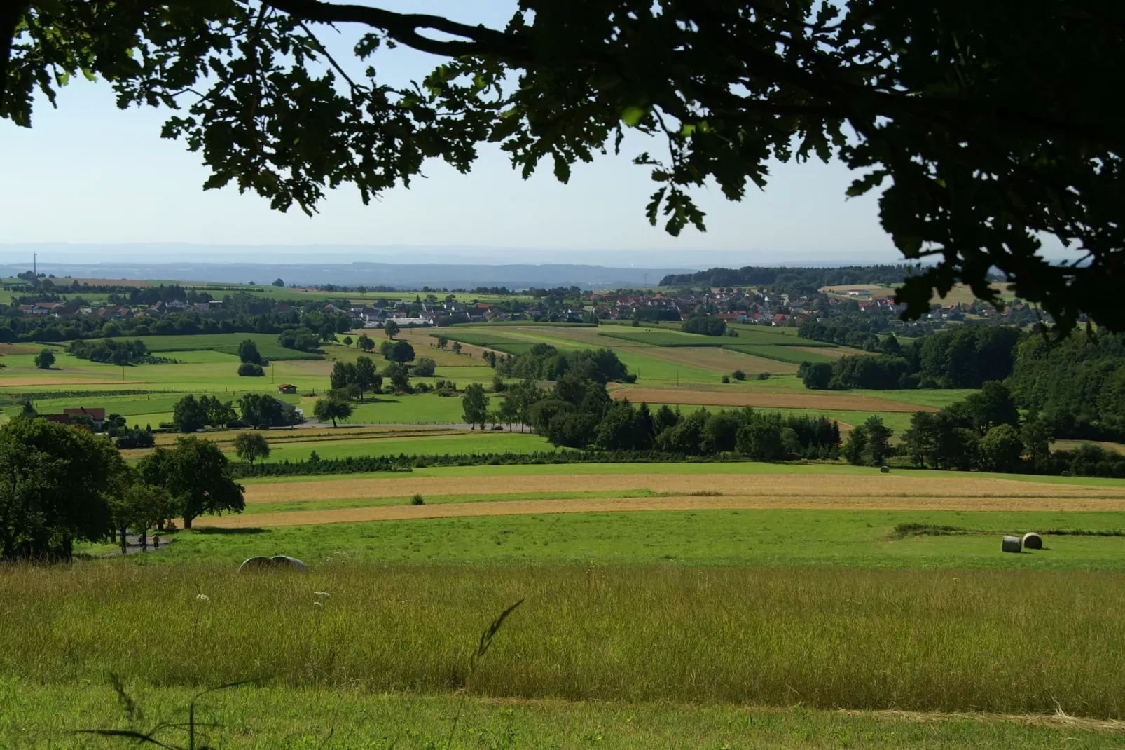 Feriendorf Waldbrunn 1-Areas summer 5km
