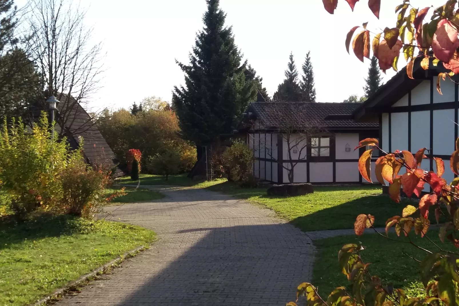 Feriendorf Waldbrunn 2-Exterior summer
