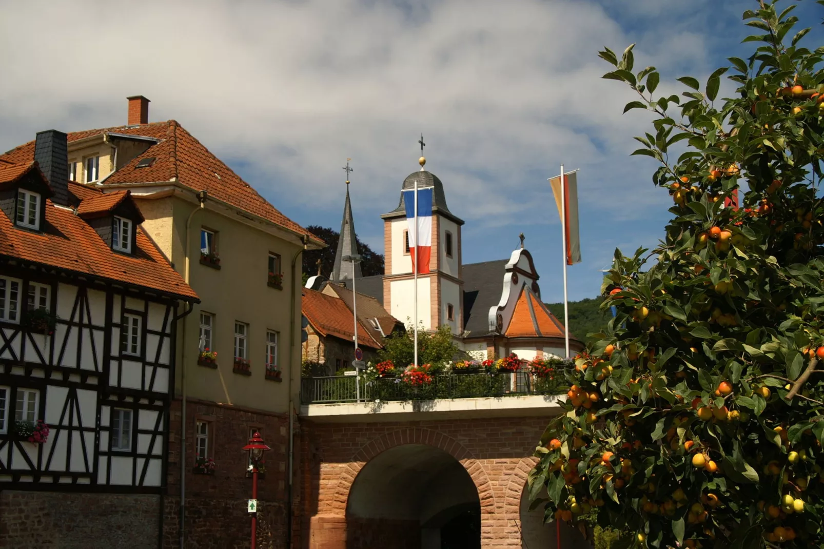 Feriendorf Waldbrunn 2-Areas summer 20km
