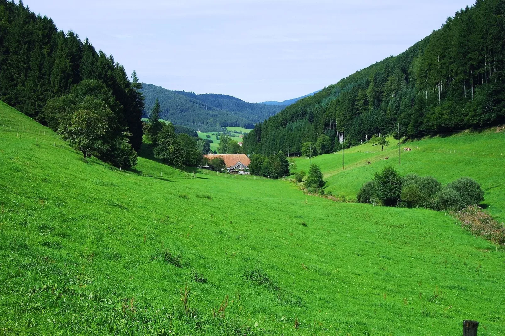 Am Stulzenhof-Areas summer 1km