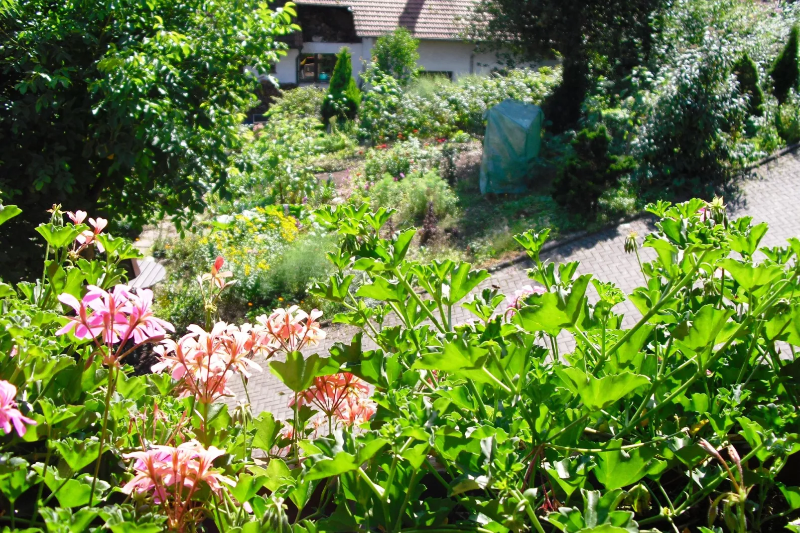 Am Stulzenhof-Garten Sommer