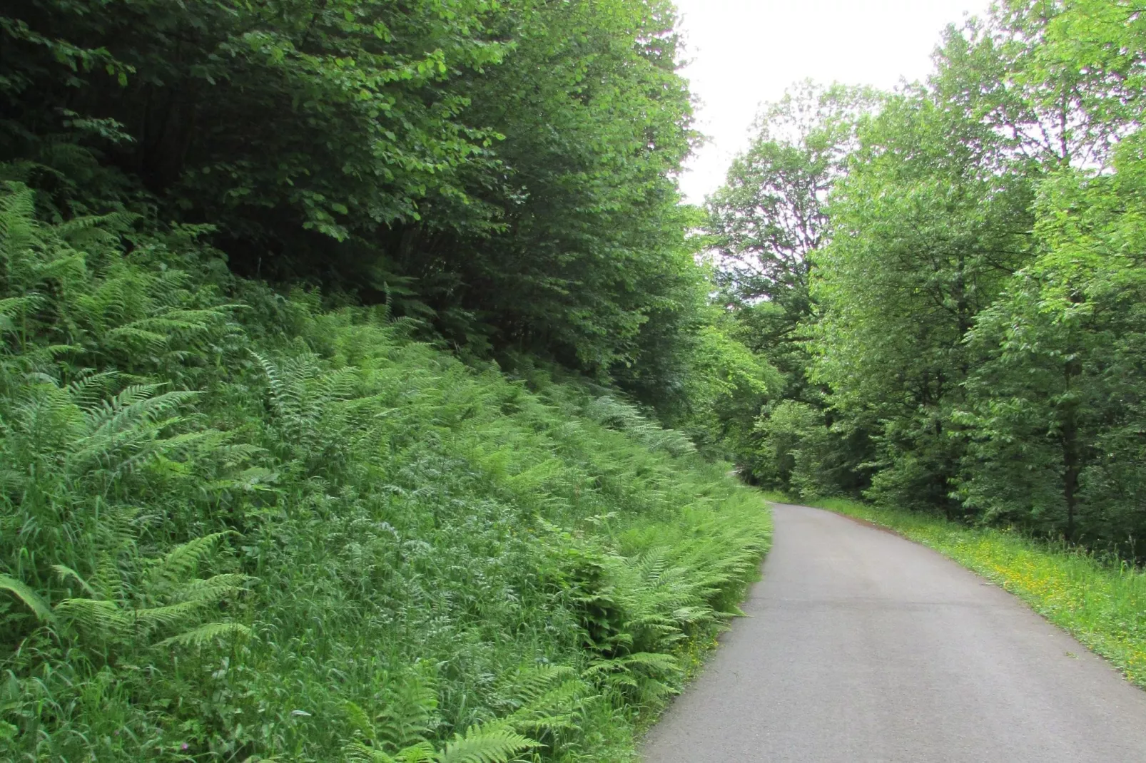 Panoramablick-Areas within 1km in summer