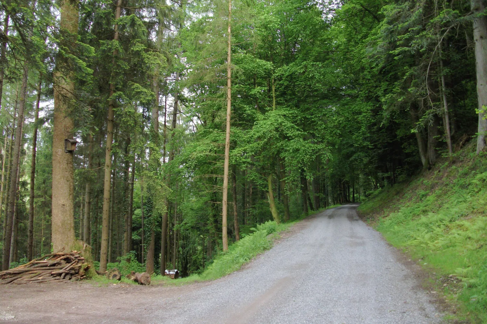 Panoramablick-Areas within 1km in summer