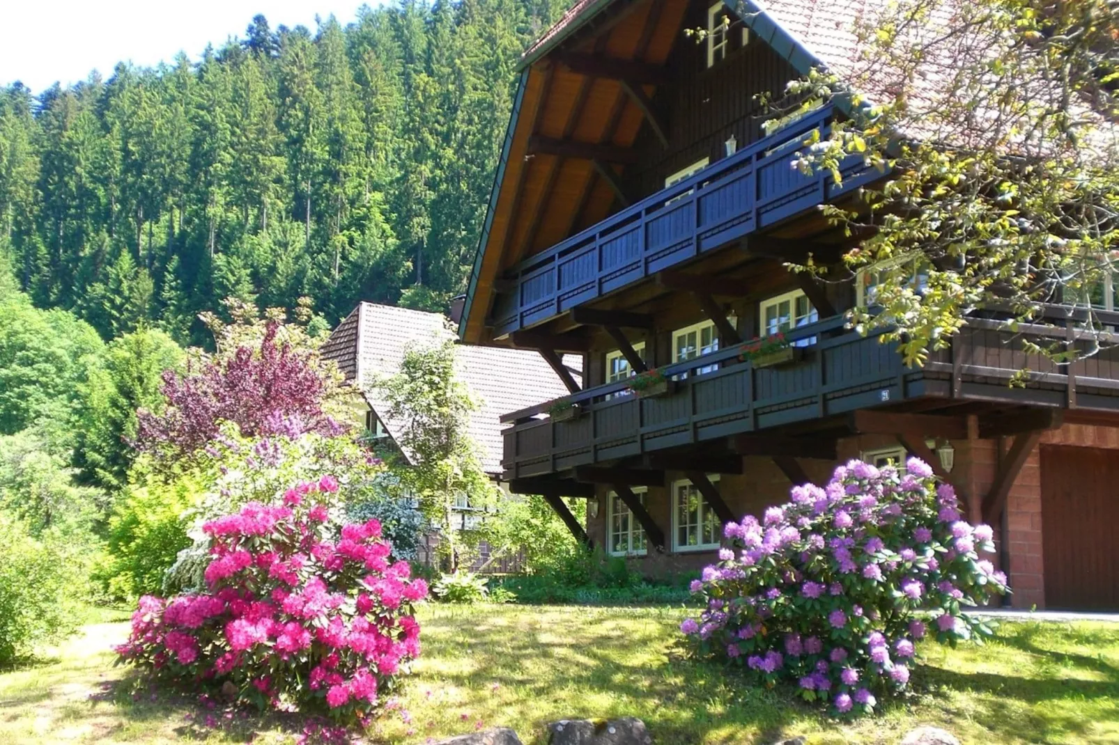 Haus Fischer-Exterior summer