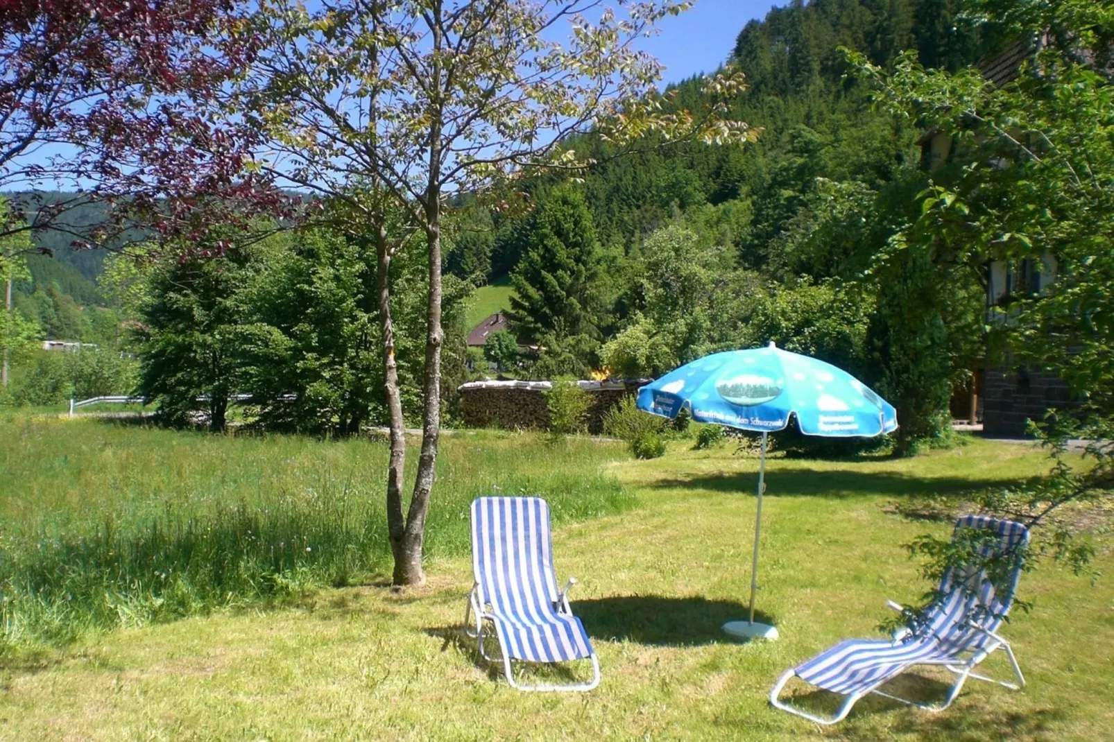 Haus Fischer-Gardens summer
