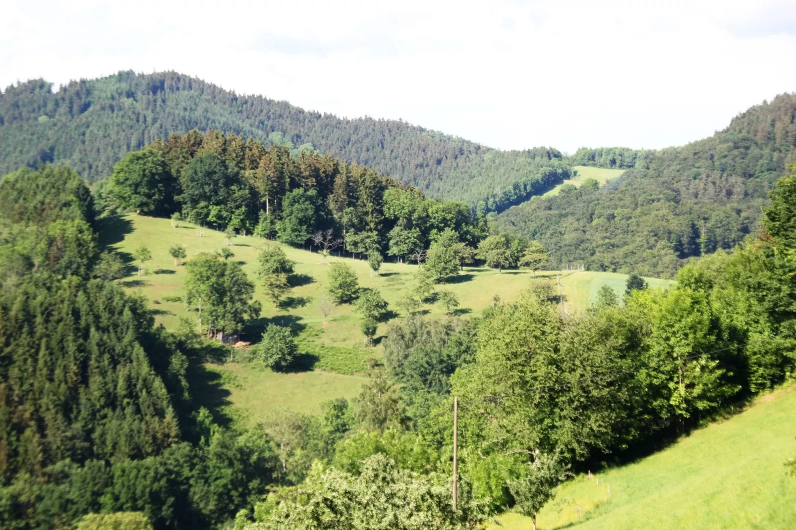 Schwarzwald - Gummenstein-View summer