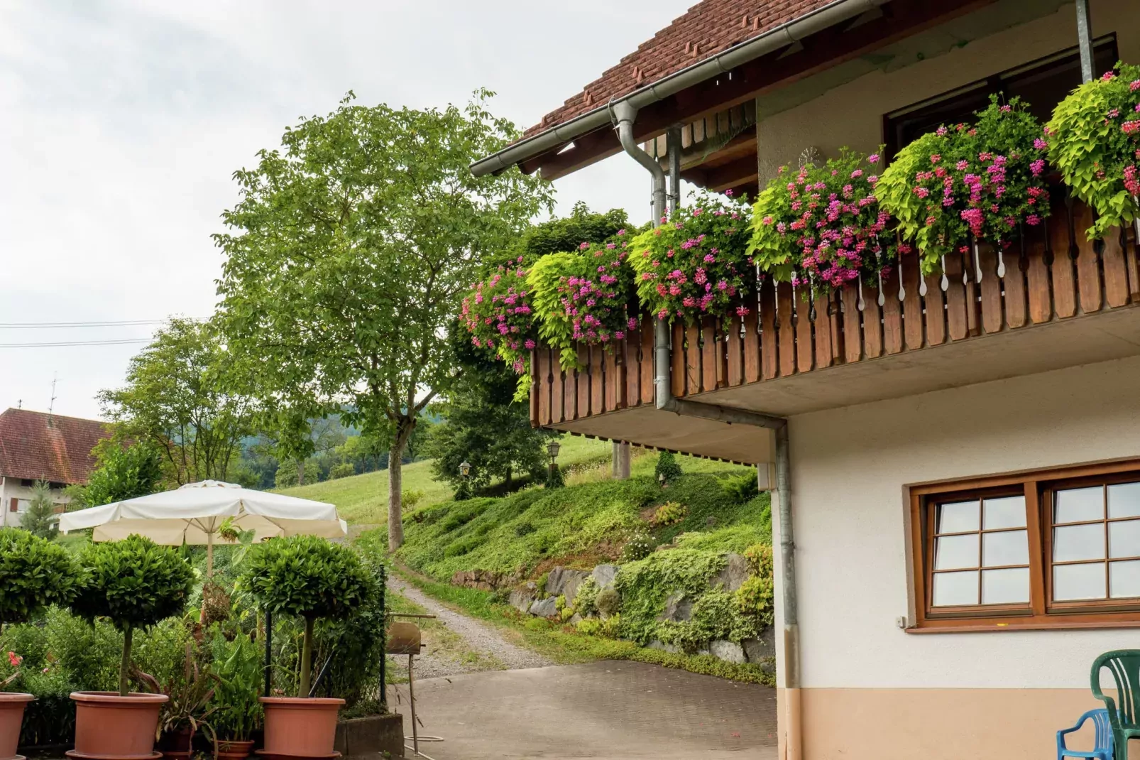 Schwarzwald-Außenbereich Sommer