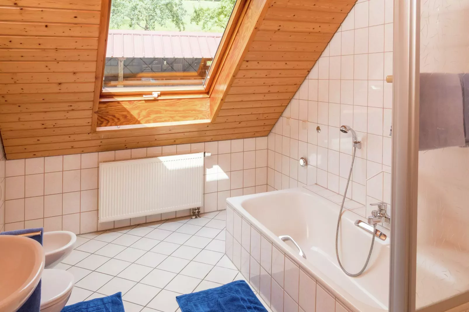 Schwarzwald-Badezimmer