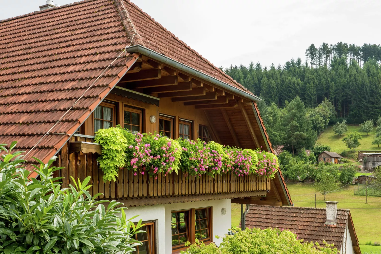Schwarzwald-Außenbereich Sommer