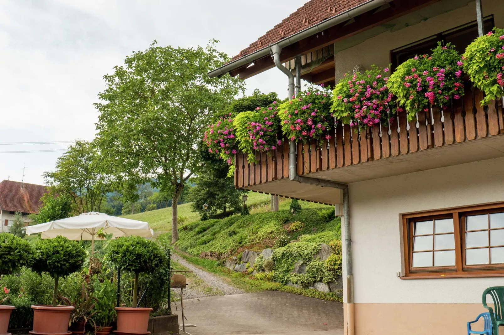 Schwarzwald-Außenbereich Sommer