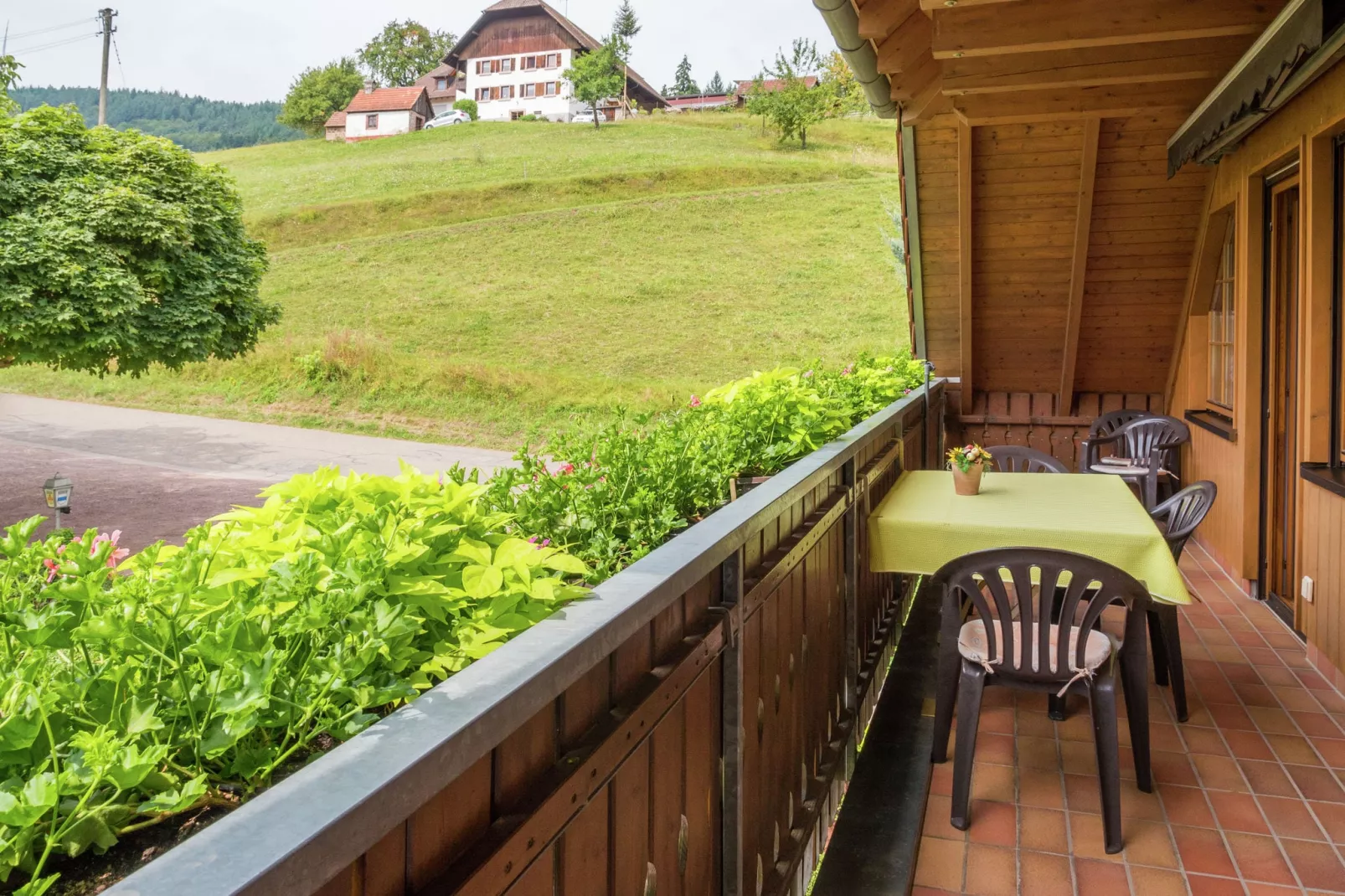 Schwarzwald-Terrasse/Balkon