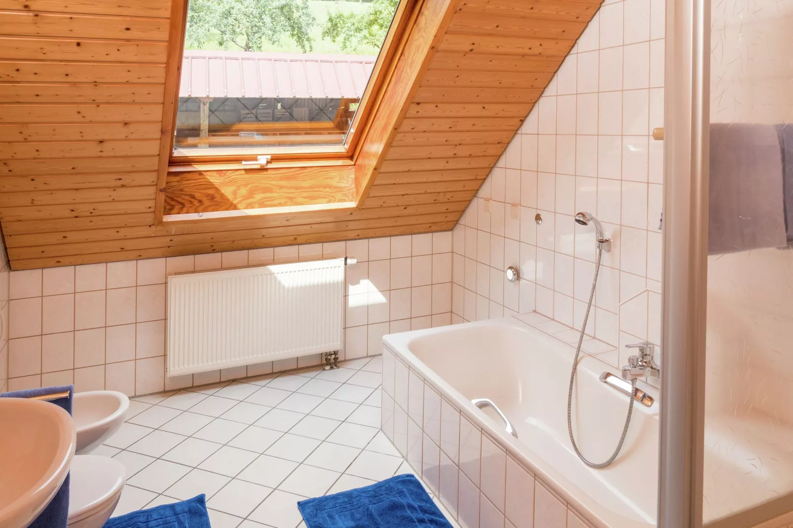 Schwarzwald-Badezimmer