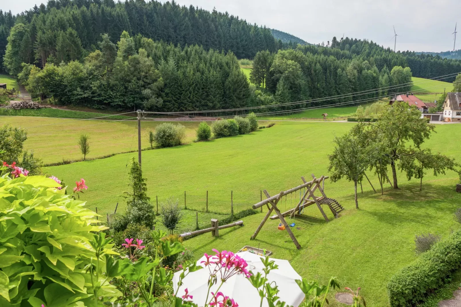 Schwarzwald-Aussicht Sommer