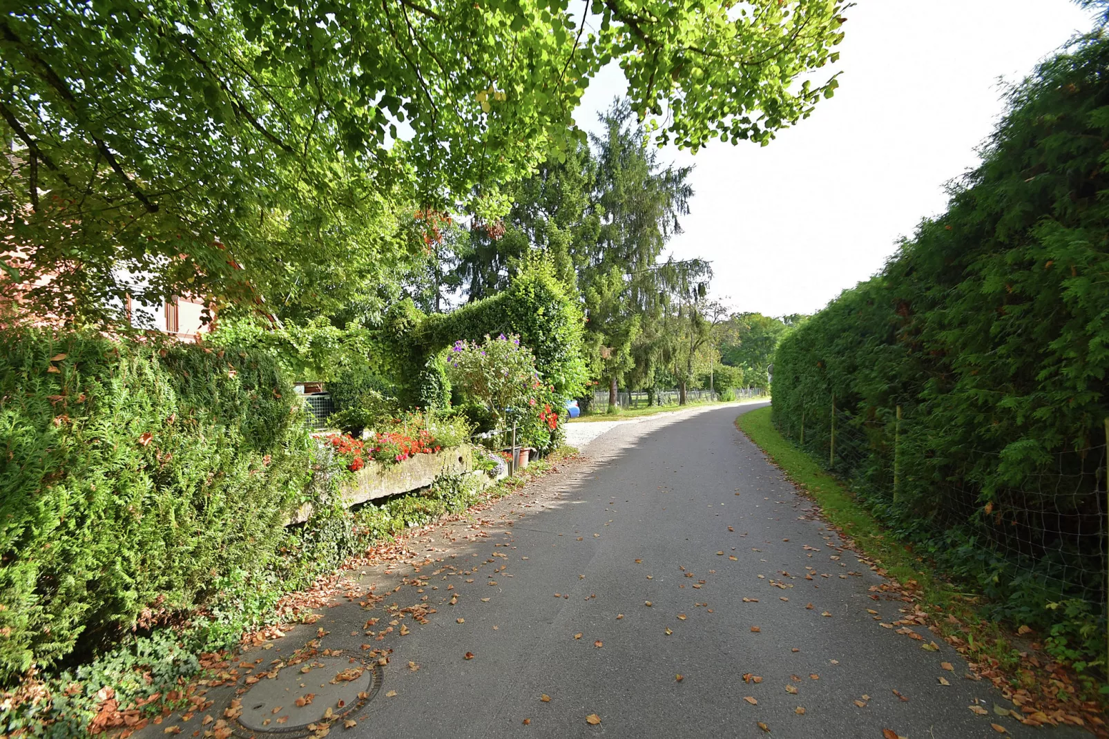 Im Rheintal-Areas summer 1km