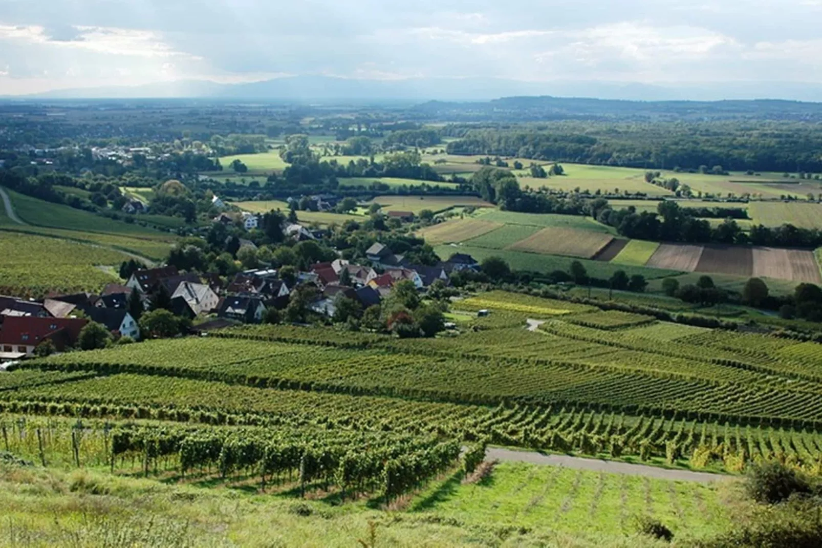 Im Rheintal-Areas summer 20km