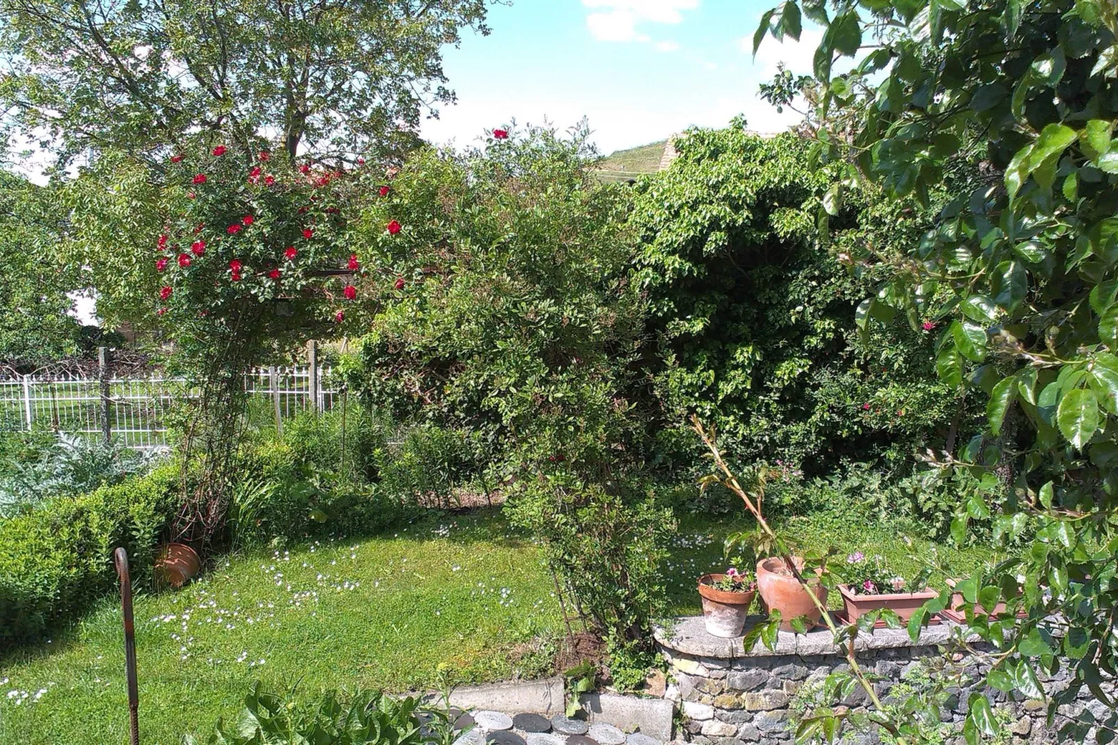 Ferienwohnung Franz-Gardens summer
