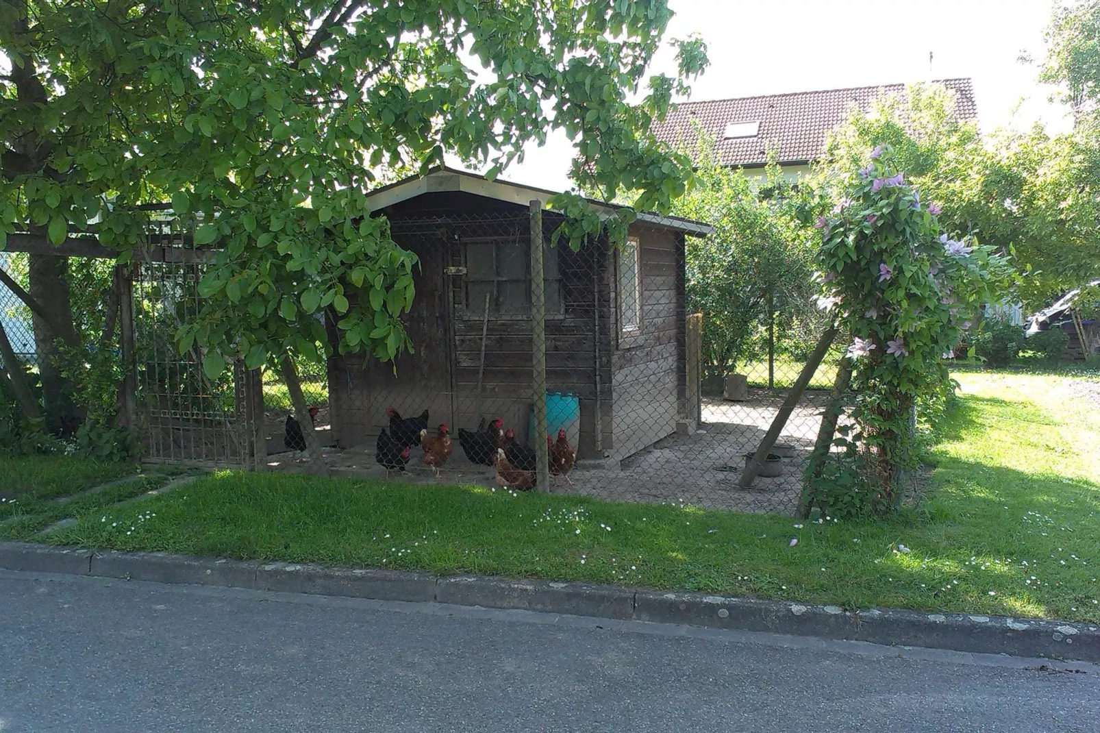 Ferienwohnung Franz-Facilities