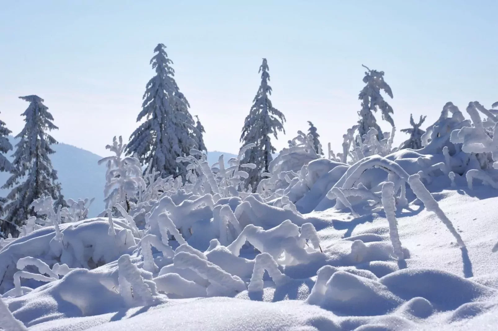 Marzell-Area winter 5km