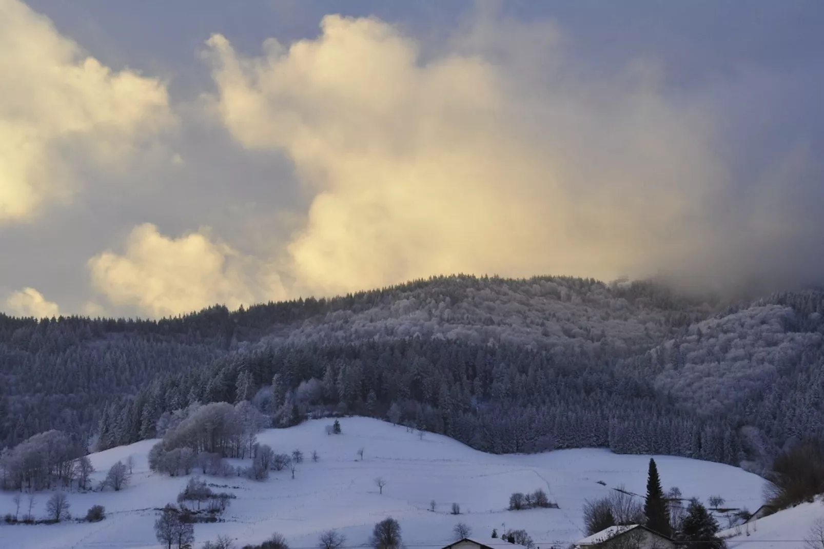 Marzell-Area winter 5km