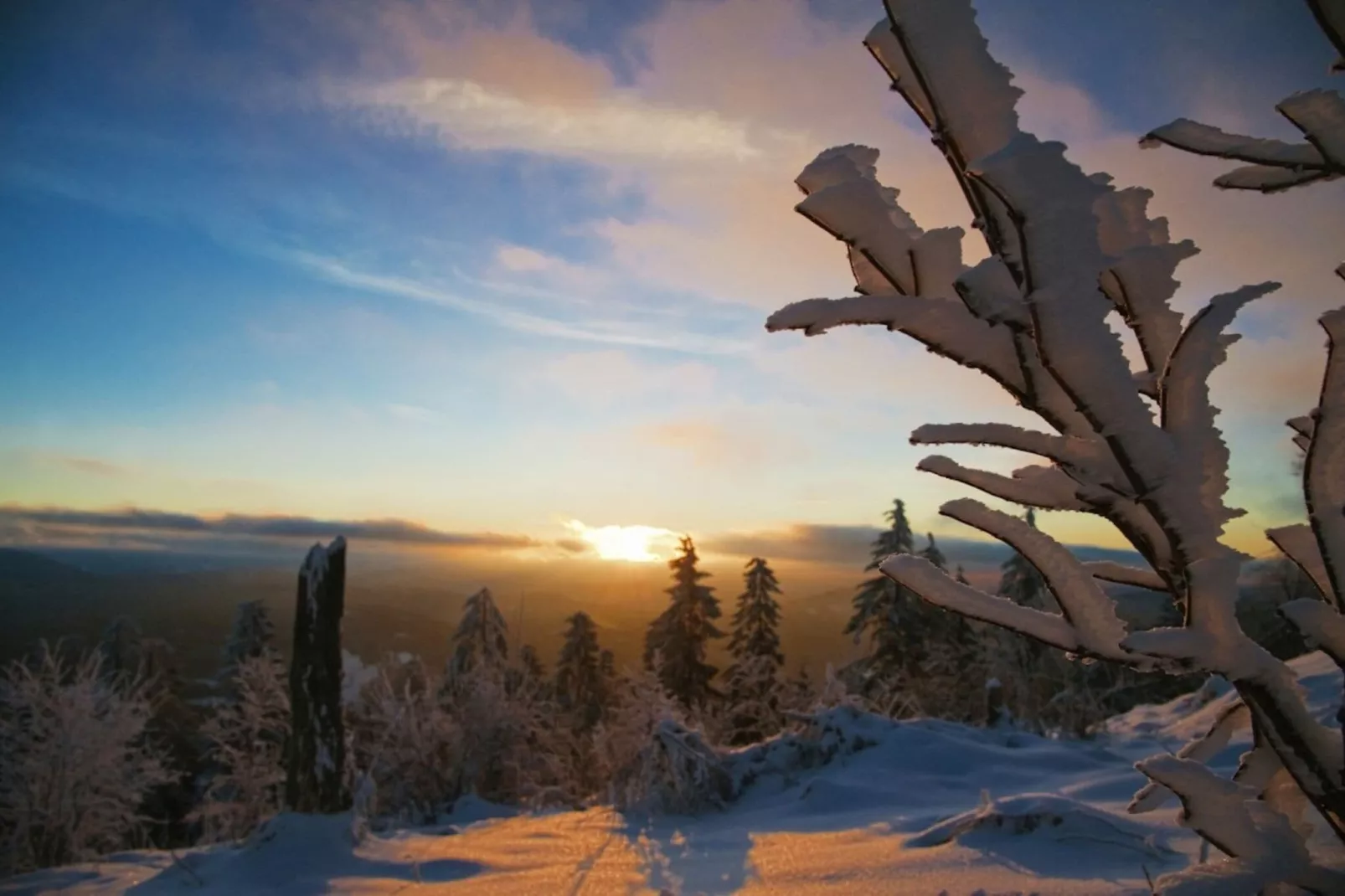 Marzell-Area winter 5km