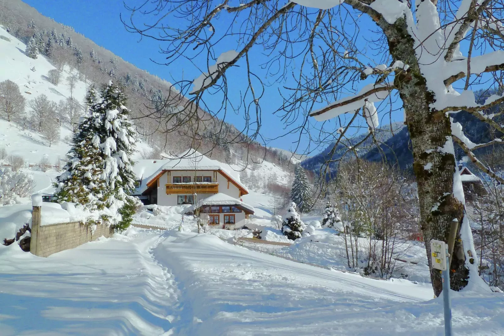 Brandenberg-Exterior winter