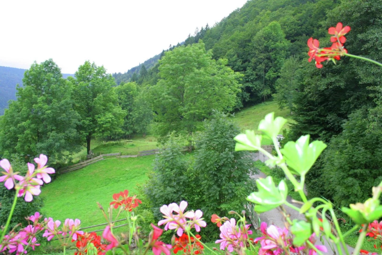 Brandenberg-View summer