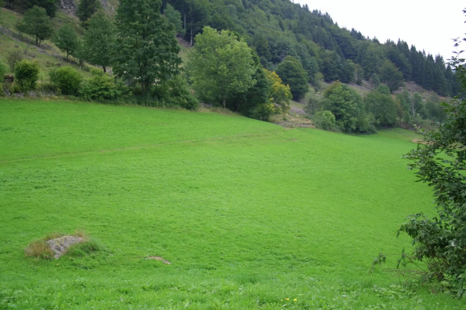 Brandenberg-Areas summer 1km