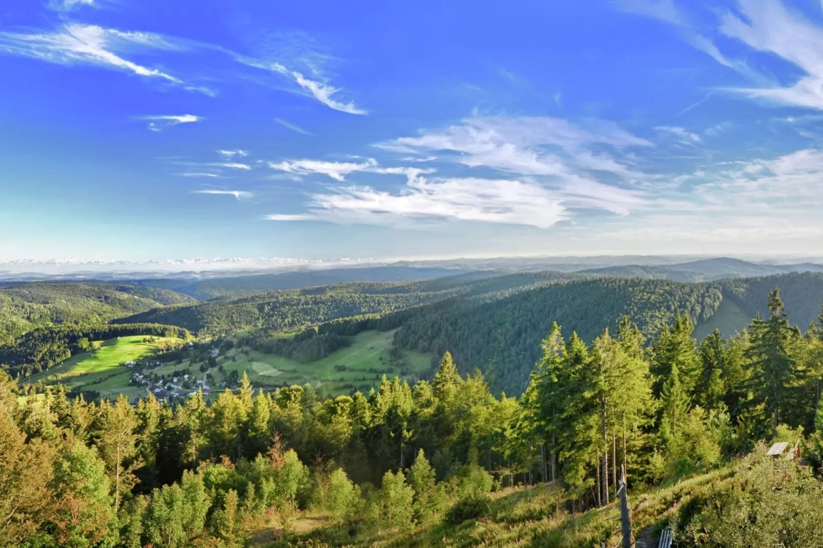 Schwarzwald-Areas within 20km in summer