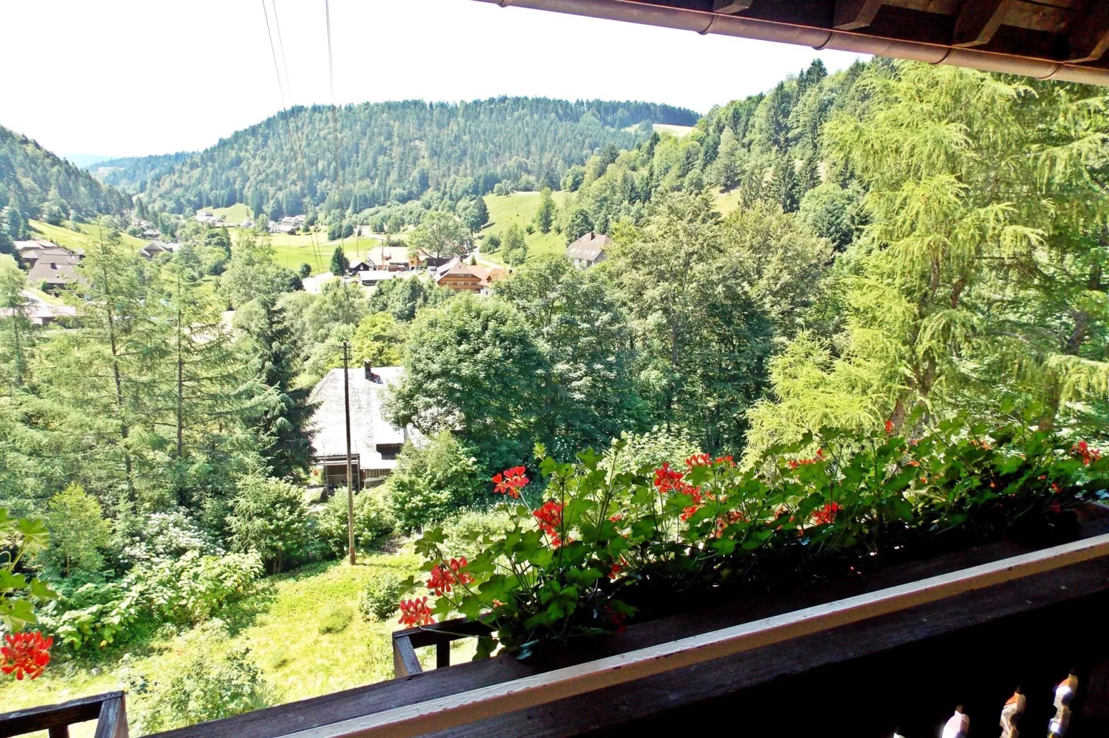 Schwarzwald-View in summer