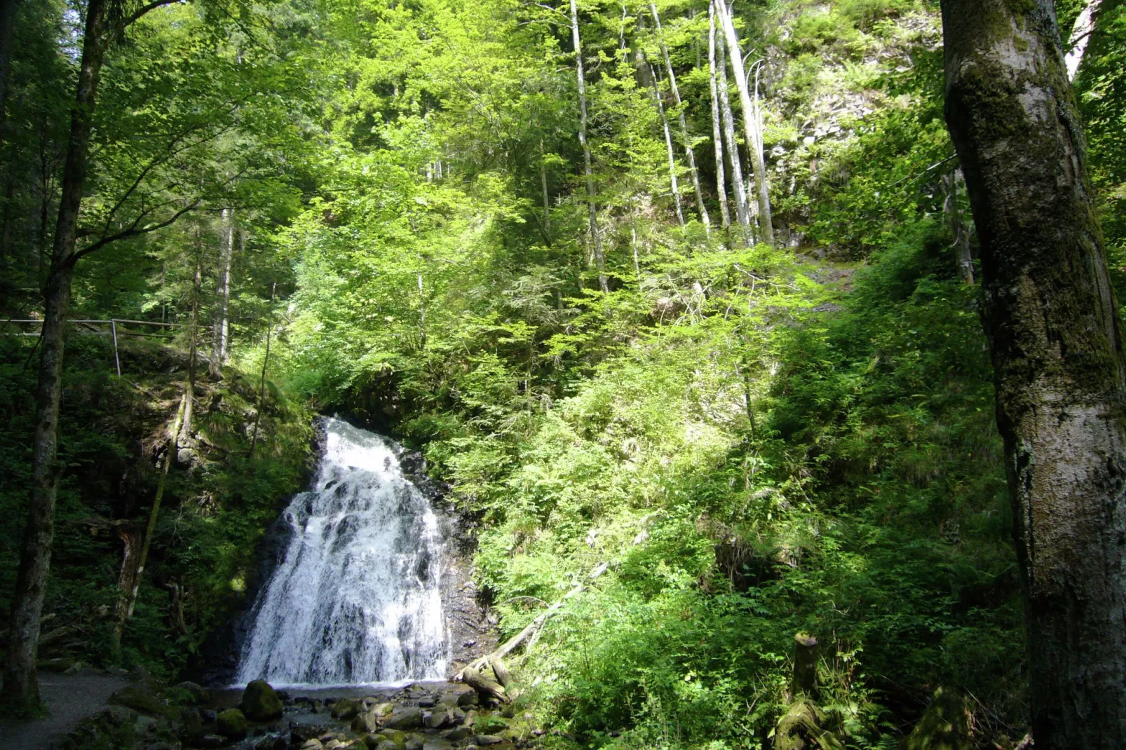 Schwarzwald-Areas within 1km in summer