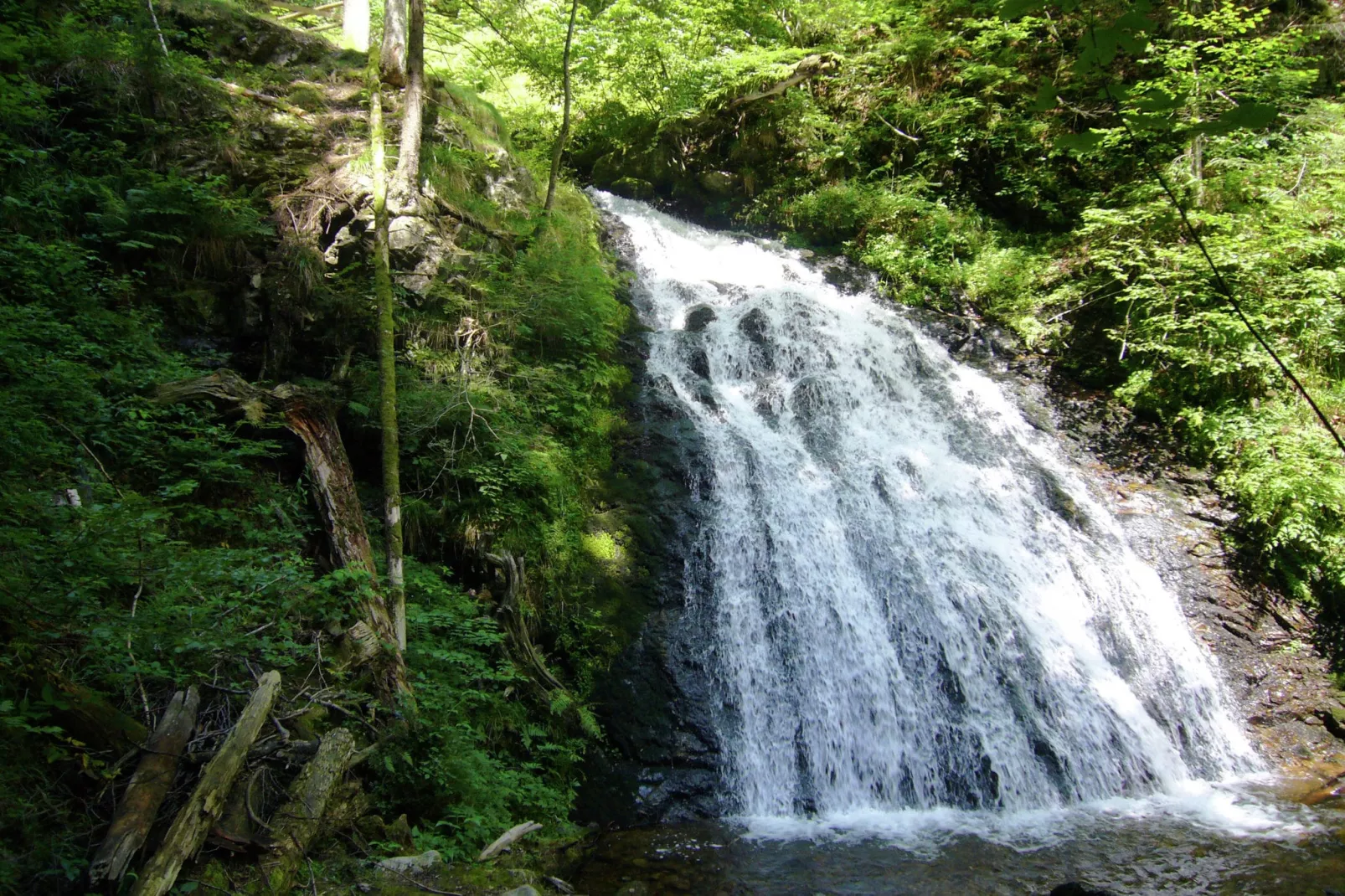 Schwarzwald-Areas within 1km in summer
