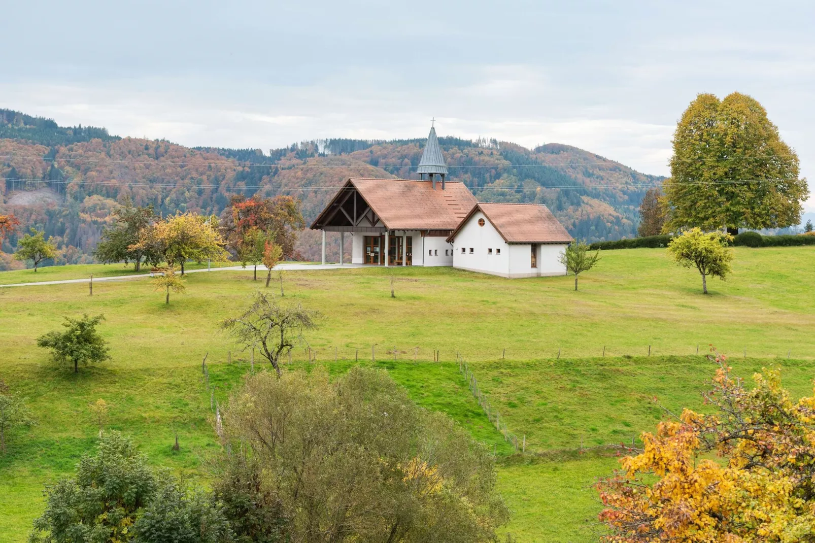 Schwarzwald-Außenbereich Sommer