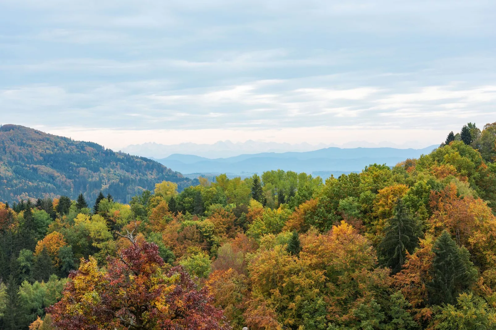 Schwarzwald-Aussicht Sommer