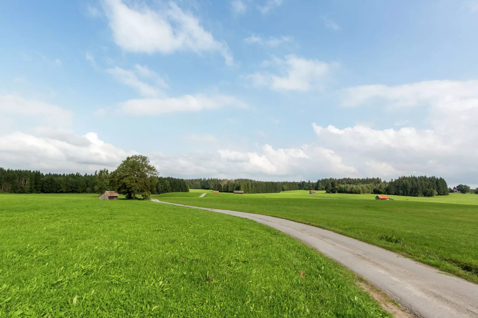 Oberbuchau-Areas within 1km in summer