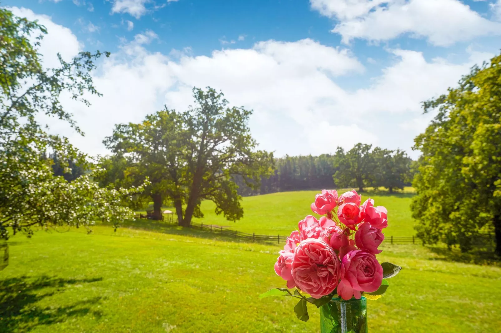 Gut Hartschimmel-Gardens summer