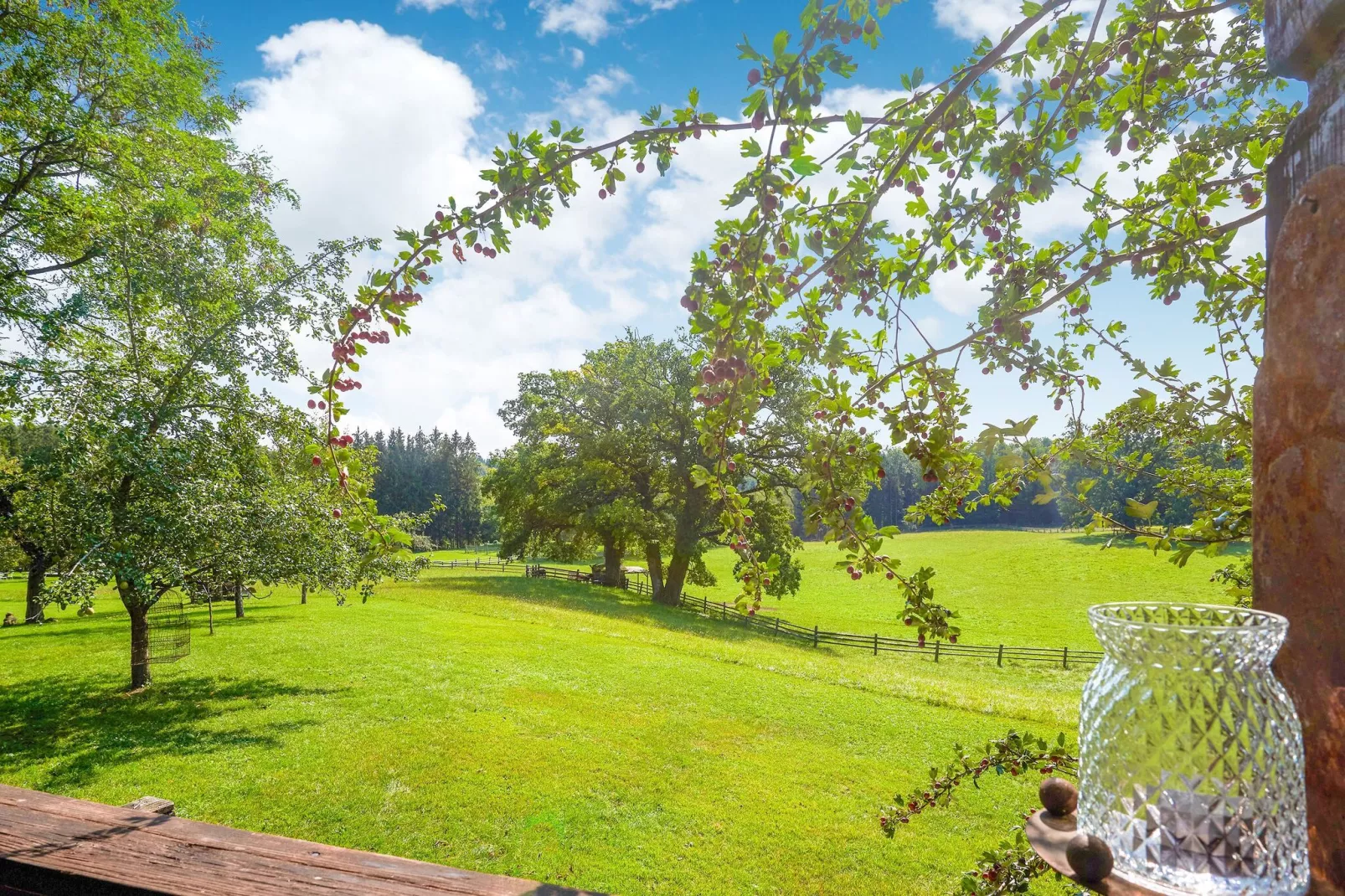Gut Hartschimmel-View summer